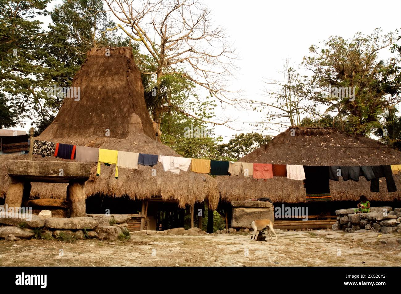 Eine Wäscheleine vor traditionellen Häusern im indigenen Dorf Tarung in Soba Wawi, Loli, Waikabubak, West Sumba, Ost Nusa Tenggara, Indonesien. Laut dem Entwicklungsprogramm der Vereinten Nationen (UNDP) leben schätzungsweise 476 Millionen indigene Menschen in mehr als 90 Ländern. Obwohl sie weniger als fünf Prozent der Weltbevölkerung ausmachen, stellen sie laut Daten 15 Prozent der Ärmsten dar. Stockfoto