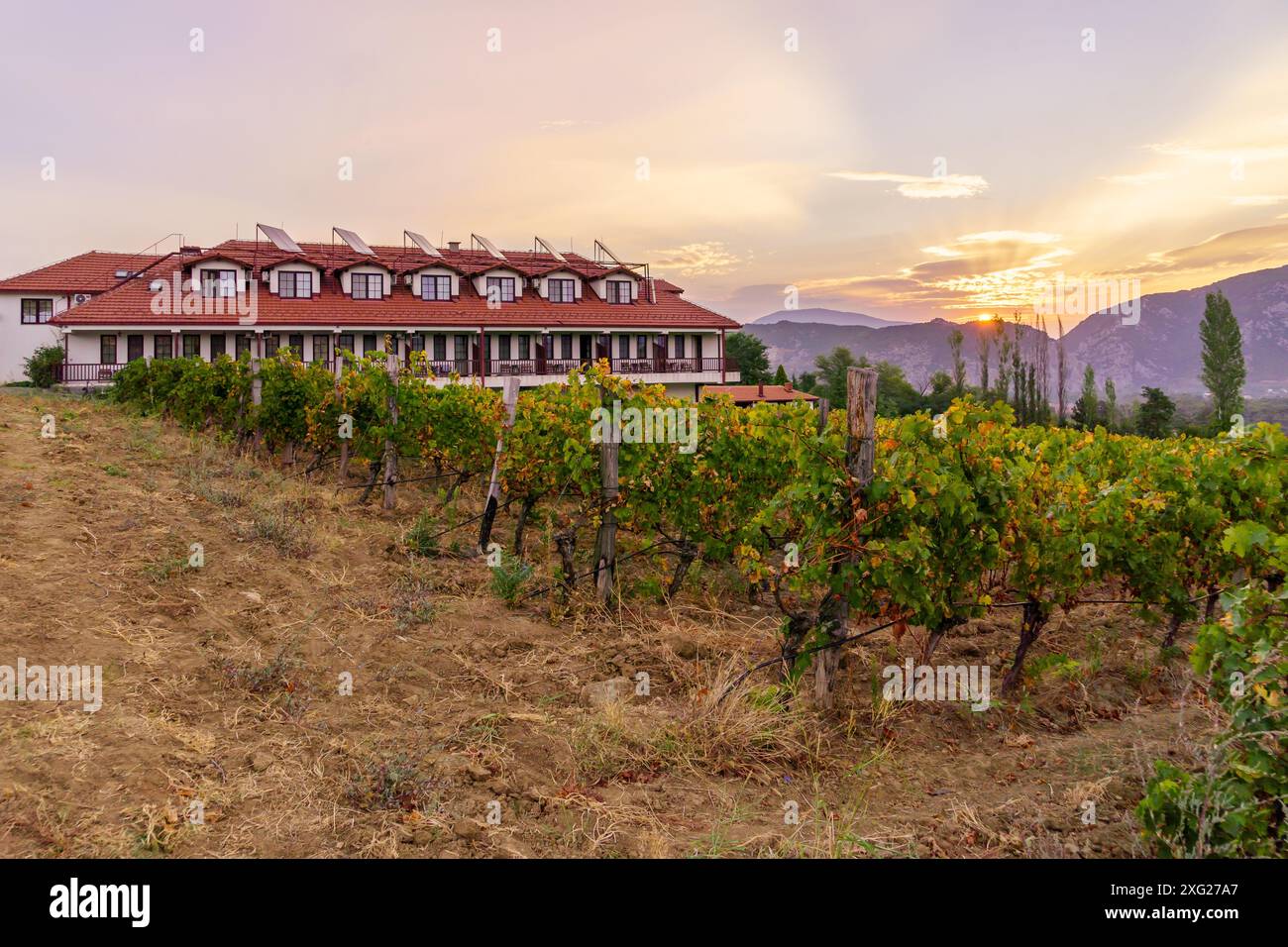Blick auf die Weinberge und Berge bei Sonnenaufgang, in der Nähe von Demir Kapija, Nordmazedonien Stockfoto