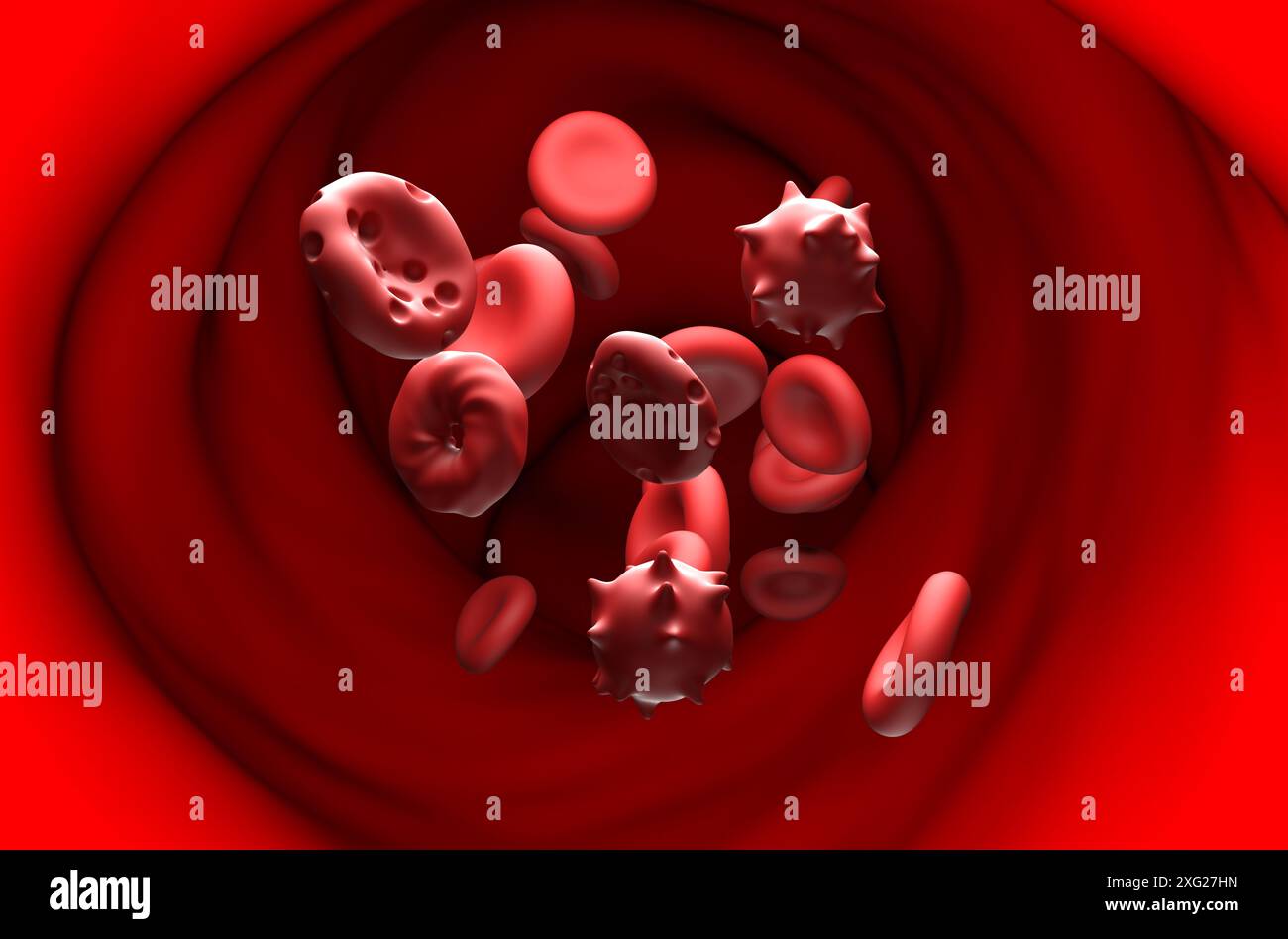 Beschädigte Erythrozyten bei Hämolyse - 3D-Abbildung in Schnittansicht Stockfoto