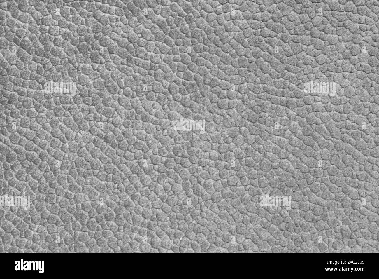 Velours-grauer Stoff mit geprägtem Muster wie Lederstruktur Nahaufnahme, Makro. Polster dekorative Stoffstruktur, Leinwand für Zuhause Stockfoto
