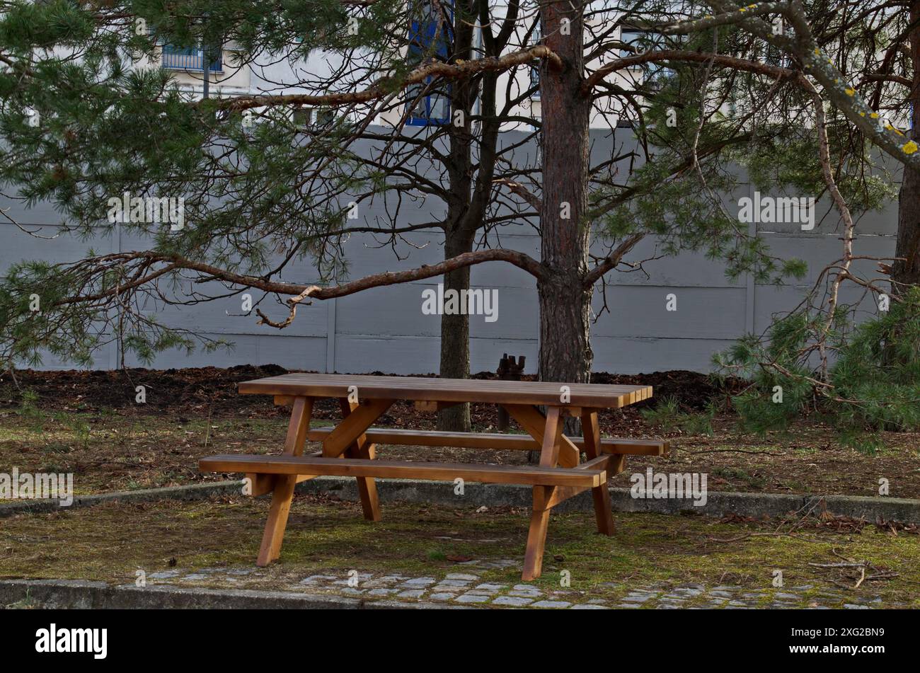 Ein gemütlicher Ort mit einem Holztisch und Bänken zum Entspannen mit Freunden im weichen Schatten der Bäume im Park, Sofia, Bulgarien Stockfoto
