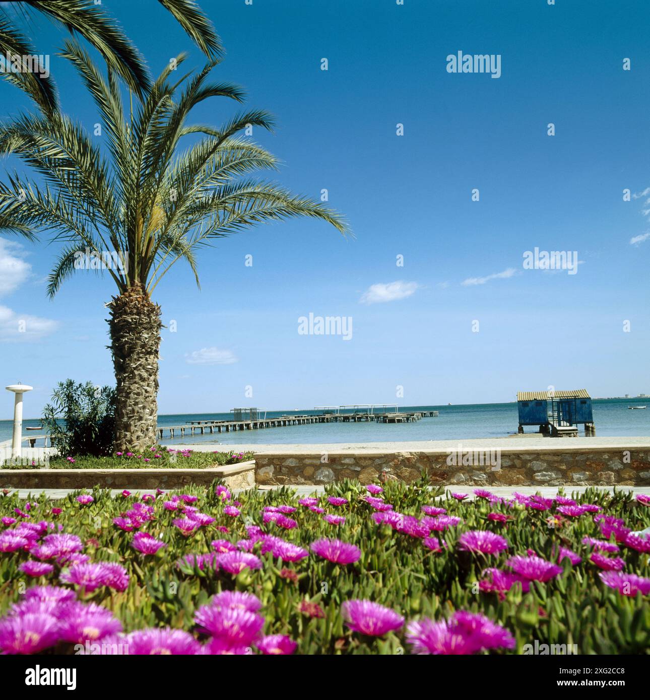 Strand, Santiago De La Ribera, Mar Menor, Provinz Murcia, Spanien Stockfoto