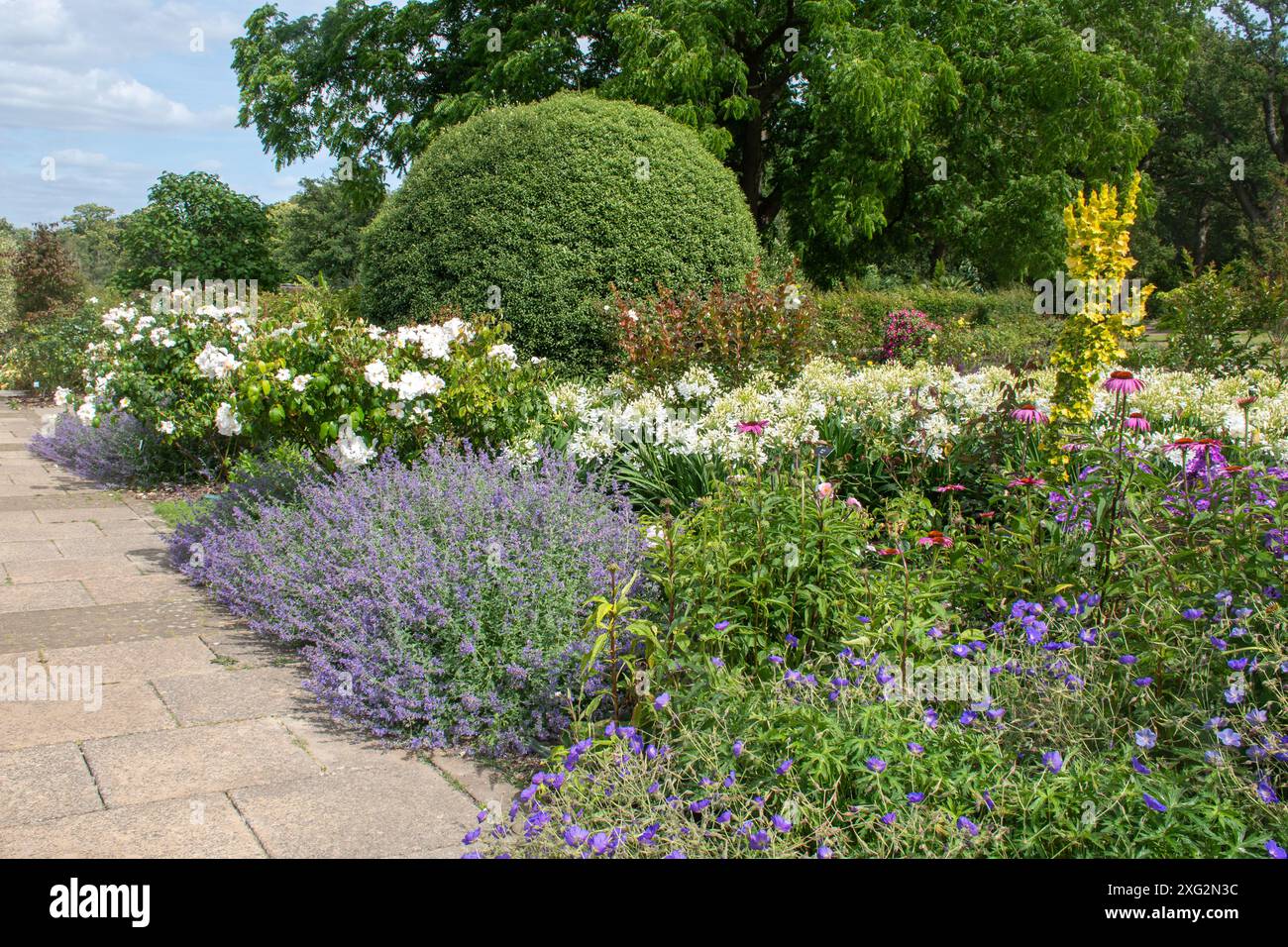Sommerblumenränder mit bunten Blumen im RHS Garden Wisley, Surrey, England, Großbritannien, im Juli Stockfoto