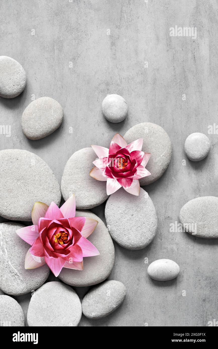 Japanischer Zen-Garten-Meditationsstein, Konzentrations- und Entspannungsblumen für Harmonie und Balance. Stockfoto