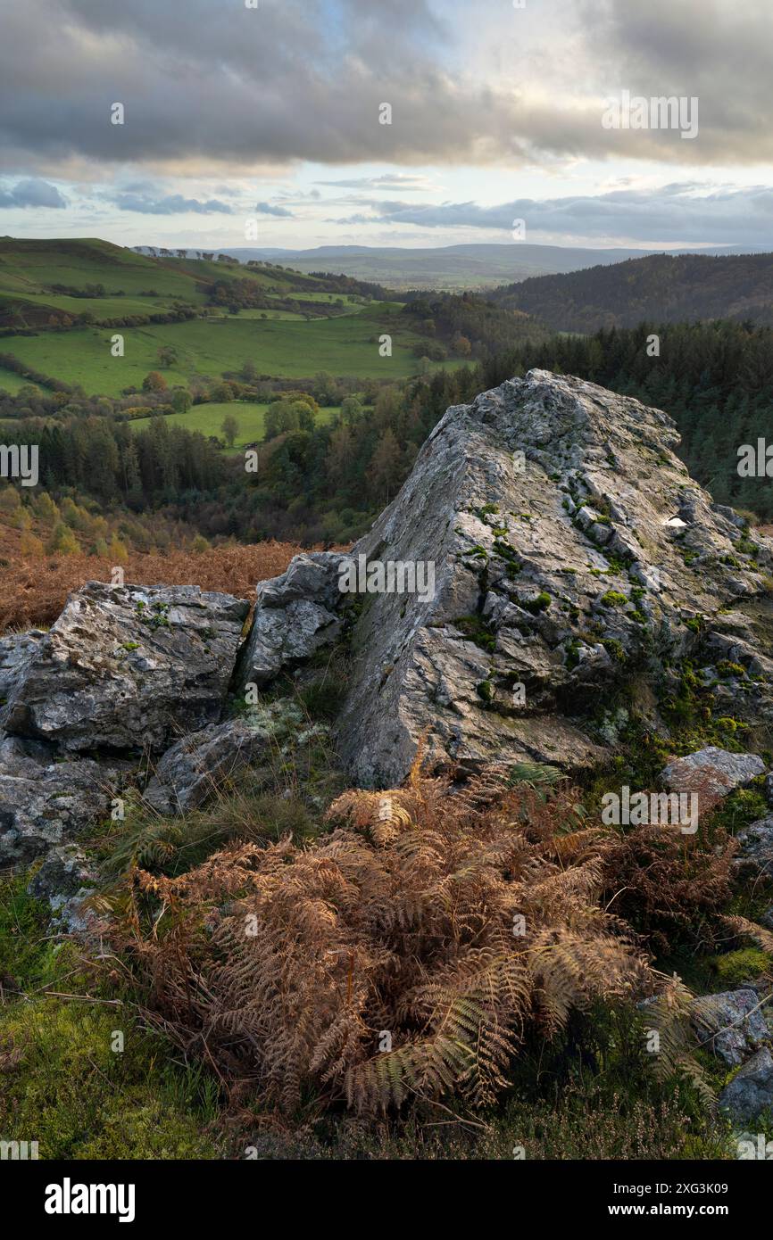 Dramatische Landschaft und Aussicht von den Stiperstones, einem freiliegenden Quarzitgrat in South Shropshire, Großbritannien Stockfoto