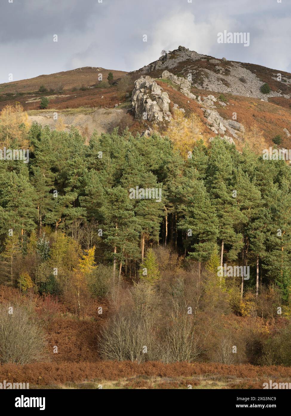 Dramatische Landschaft und Aussicht von den Stiperstones, einem freiliegenden Quarzitgrat in South Shropshire, Großbritannien Stockfoto