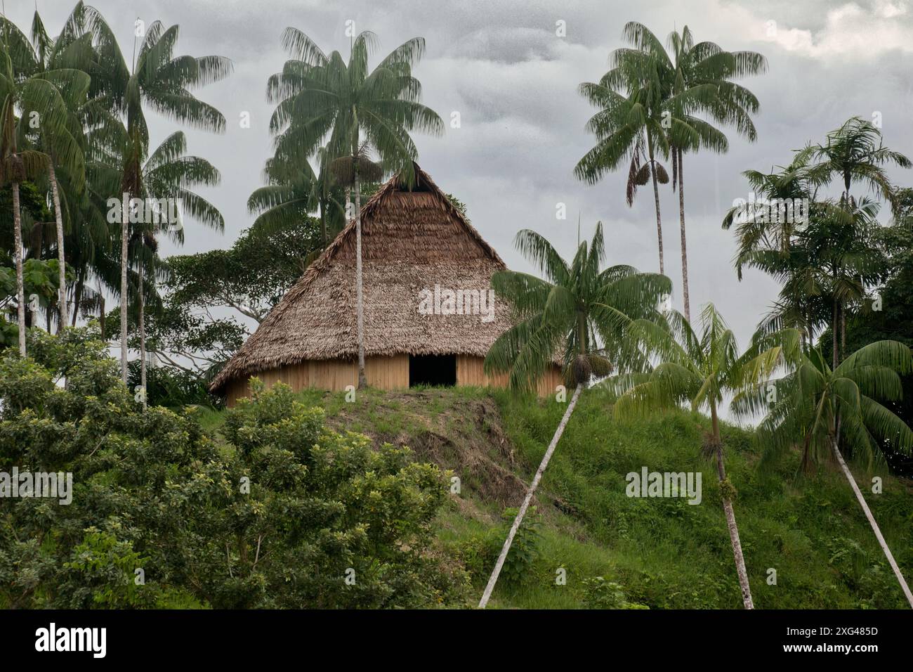 Traditionelle Amazonashütte umgeben von Palmen im Regenwald Stockfoto