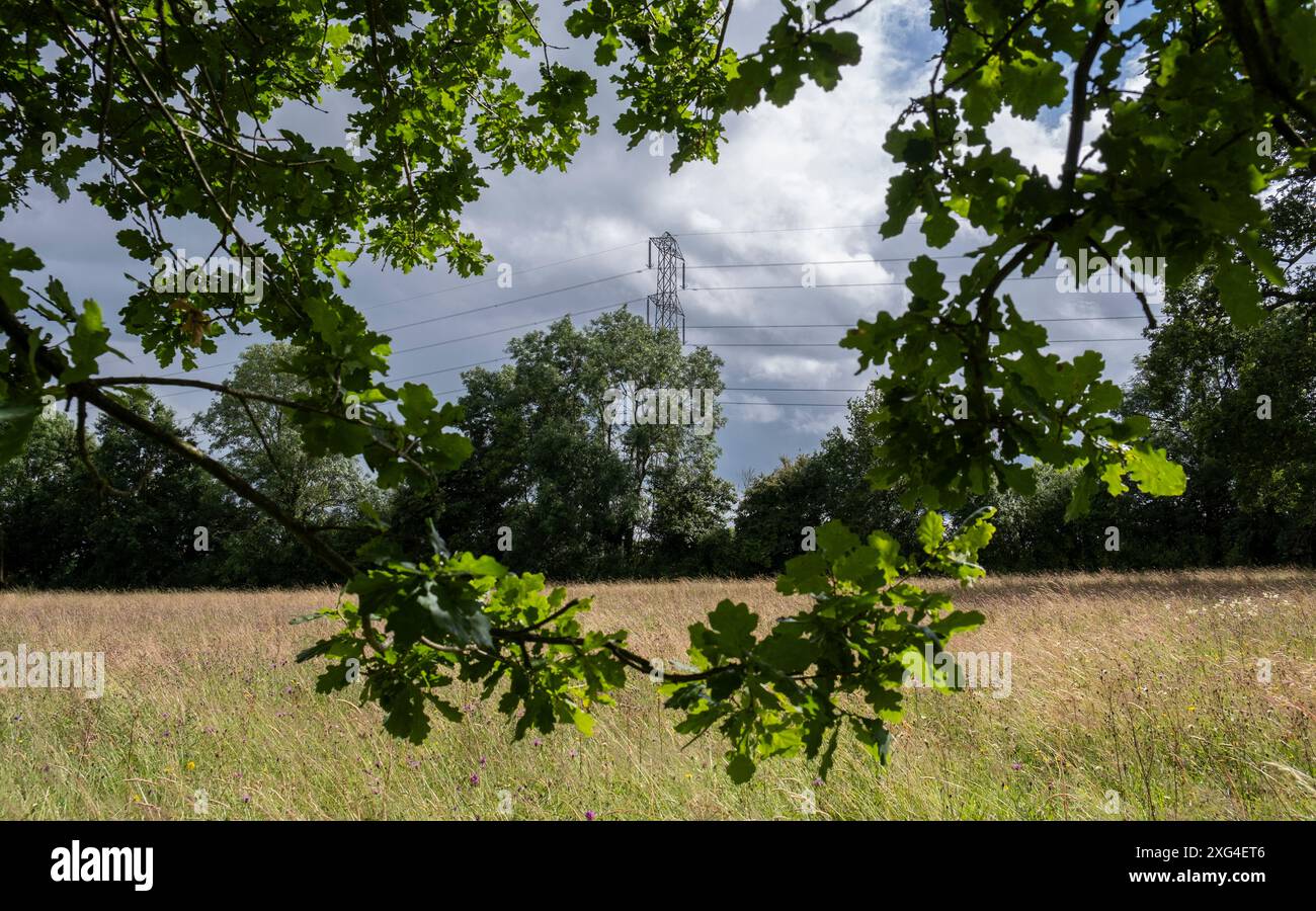 Natur und Menschen, die nebeneinander als Kabel und ein Pylon des National Grid hergestellt werden, das das Vereinigte Königreich mit Strom versorgt, verlaufen durch Farmland in Worcestershire, England. Stockfoto