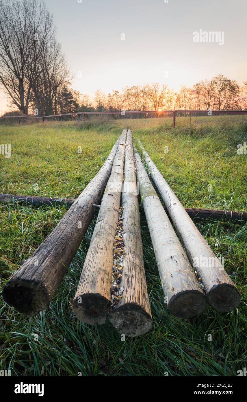 Wood Poles Yard Stockfoto