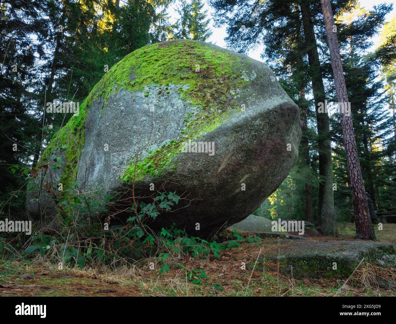 Hängender Stein im Heidenreichstein Moor, Heidenreichstein, Waldviertel, Niederösterreich, Österreich Stockfoto