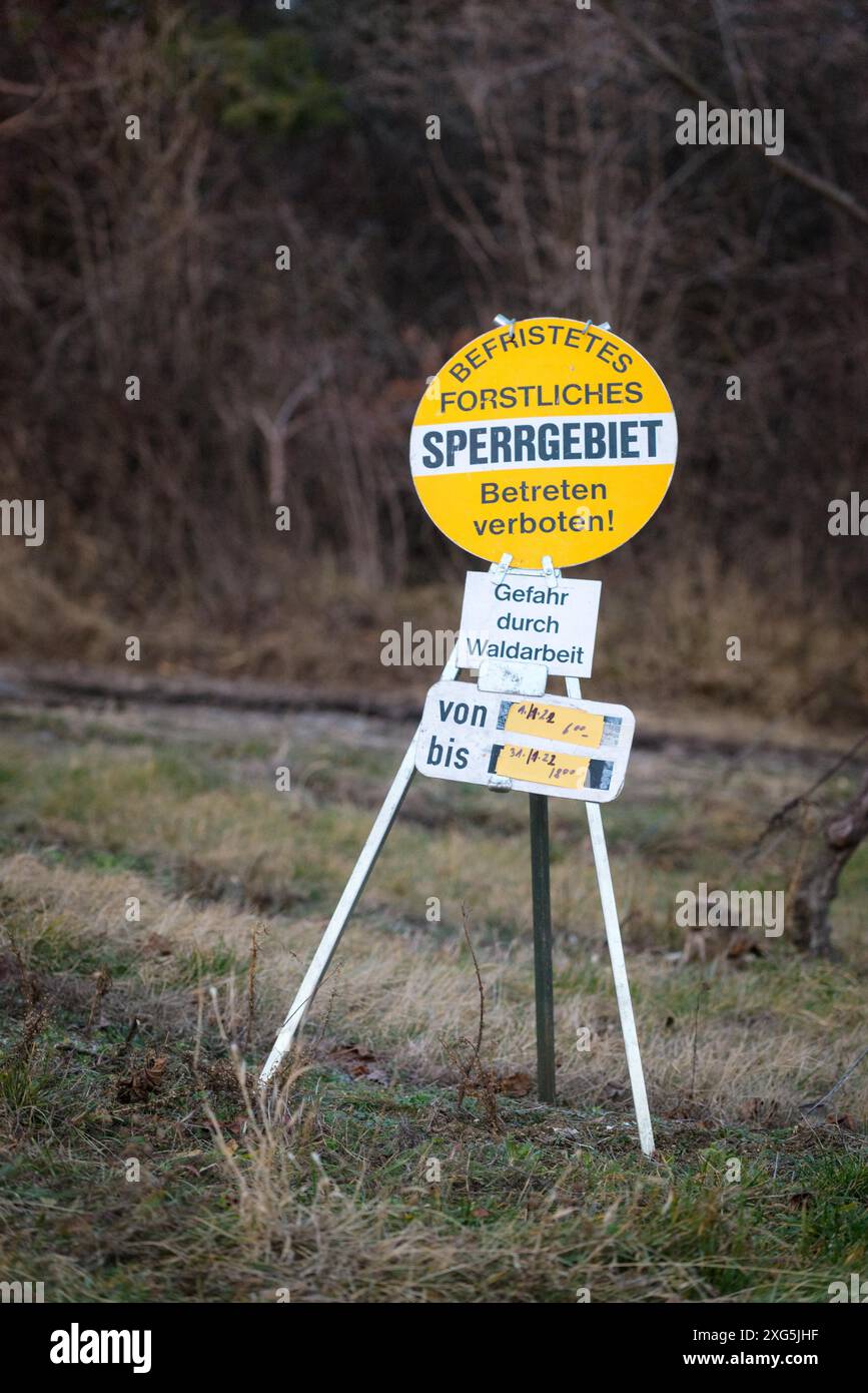 Warnschild Baumschnitt und der geschnittene Baum im Hintergrund im Park, fotografiert mit geringer Schärfentiefe Stockfoto