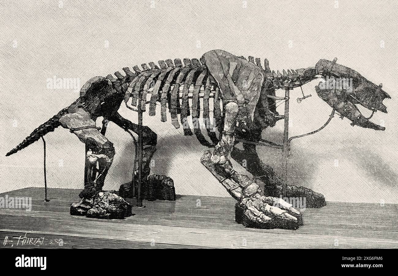 Scelidotherium leptocephalus Owen. Paläontologie-Galerie des Naturhistorischen Museums von Paris, Frankreich. Alte gravierte Illustration aus dem 19. Jahrhundert aus La Nature 1886 Stockfoto