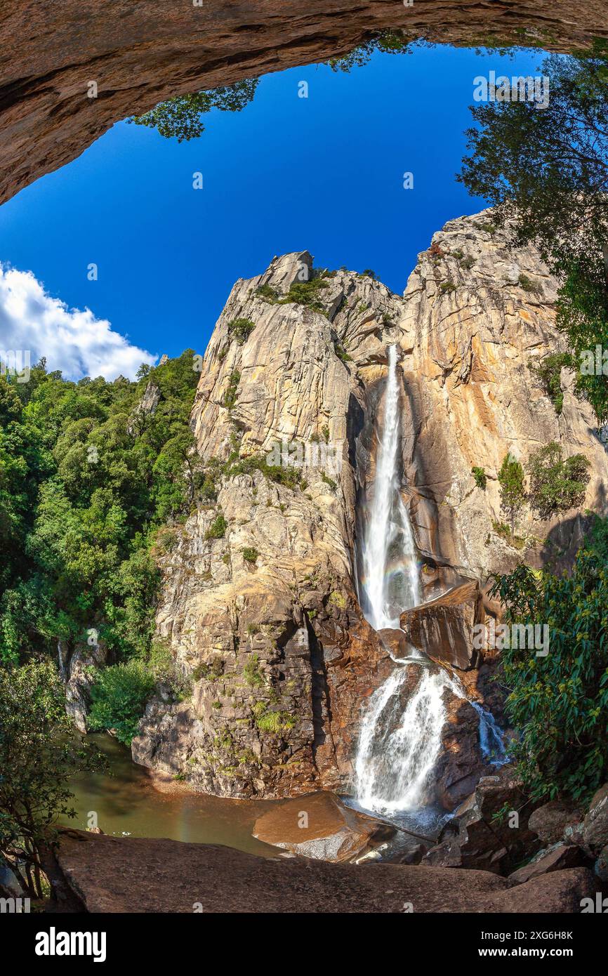 SÜDKORSIKA, INSEL DER SCHÖNHEIT, REGIONALER NATURPARK KORSIKA, ZONZA, ALTA ROCCA MASSIV, OSPEDALE WALD, DER WASSERFALL PISCIA DI GALLU IST DAS MOS Stockfoto