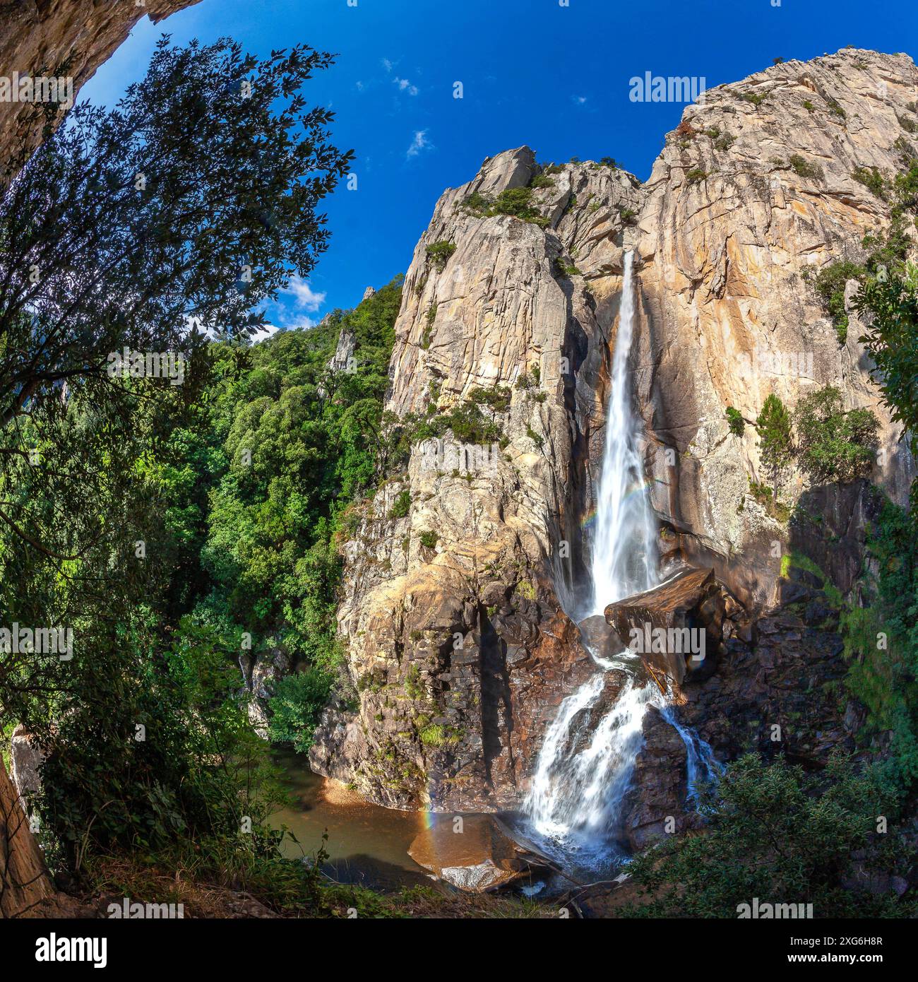 FRANKREICH. CORSE-DU-SUD (2A) REGIONALER NATURPARK KORSIKA, MASSIV ALTA ROCCA, OSPEDALE WALD, DER WASSERFALL PISCIA DI GALLU IST DAS EINDRUCKSVOLLSTE WASSER Stockfoto