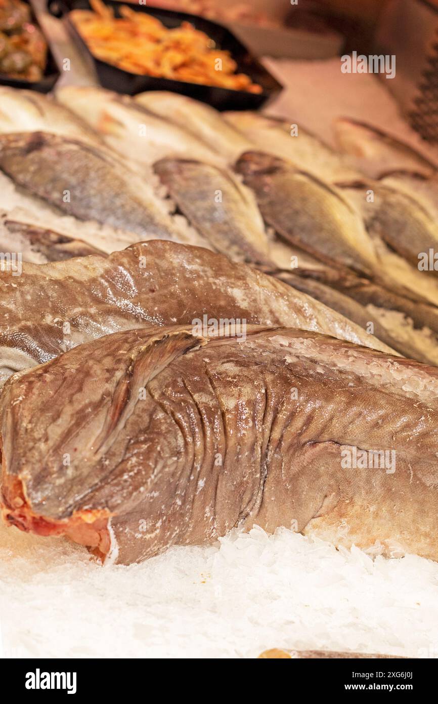 Verschiedene Fischsorten auf der Theke in einem Supermarkt Stockfoto