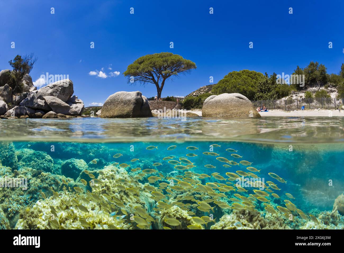 FRANKREICH. CORSE DU SUD (2A) ASCIAIO BEACH Stockfoto
