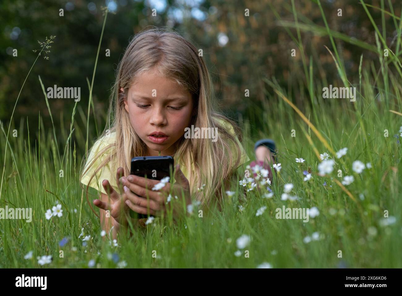 Porträt eines jungen, hübschen Mädchens mit langen blonden Haaren. Das Kind liegt im Gras eines Parks, genießt Natur, Gesundheit, Freiheit und ihr Handy Stockfoto