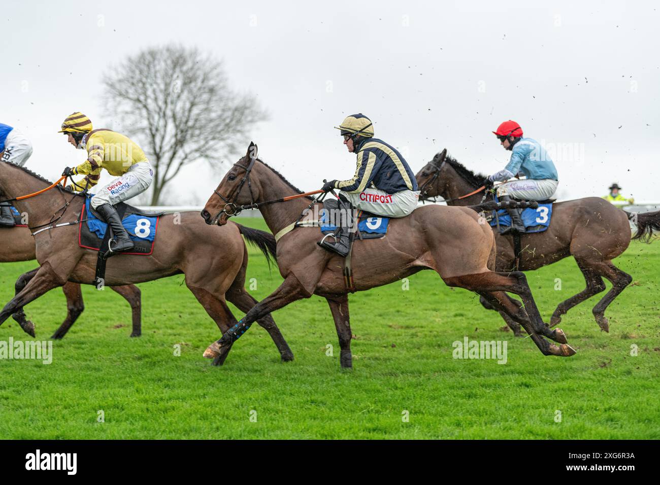 Wincanton Rennen 8. Januar 2022 - Rennen 1 Stockfoto