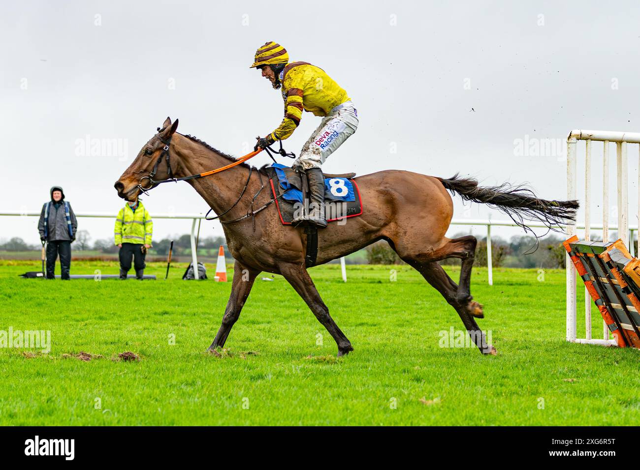 Wincanton Rennen 8. Januar 2022 - Rennen 1 Stockfoto