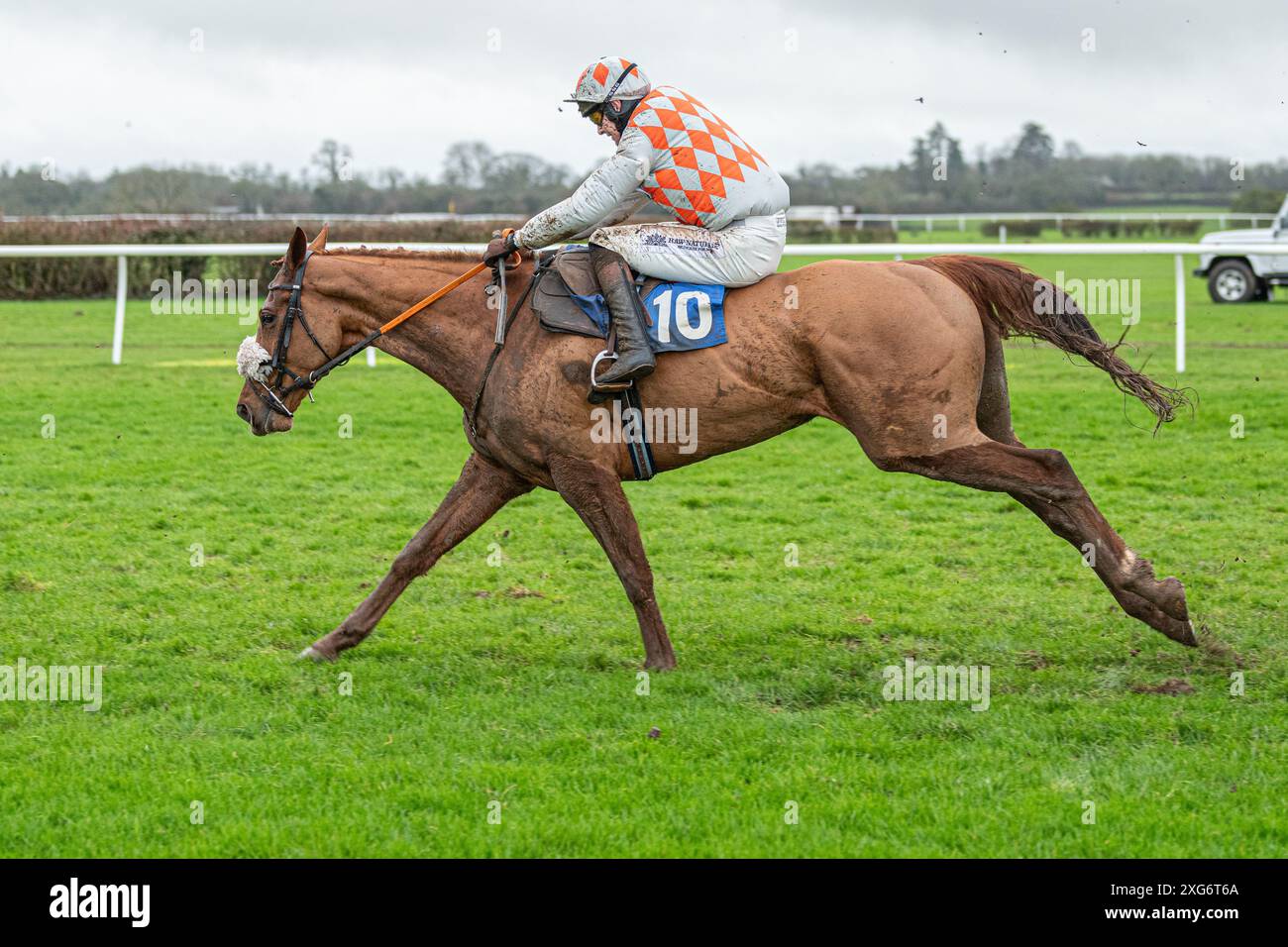 Zweites Rennen in Wincanton am 8. Januar 2022 Stockfoto