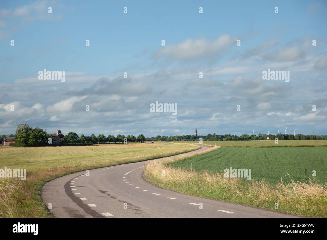 Kurvige Straße in der Landwirtschaft zwischen Weizenfeldern in Scania, Schweden an einem klaren Sommertag Stockfoto