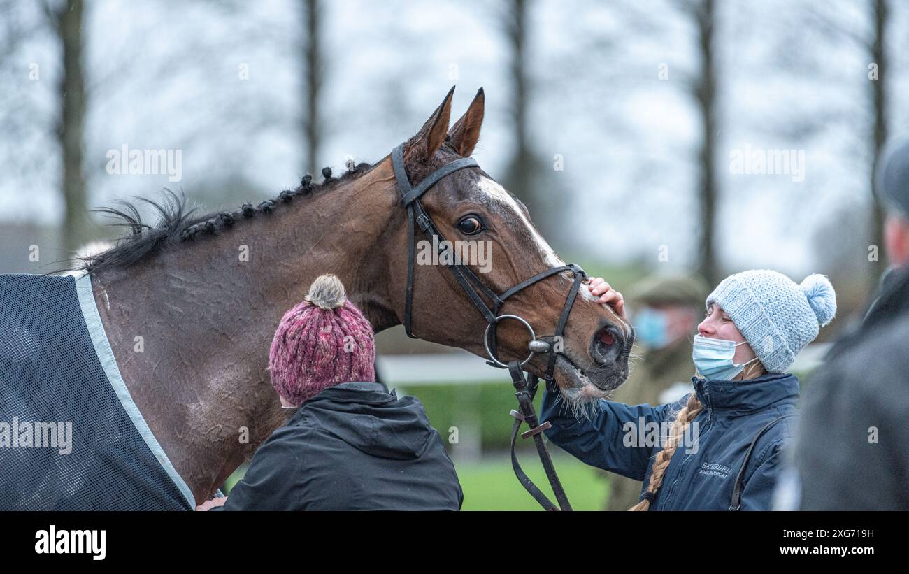 Siebtes Rennen in Wincanton, 8. Januar 2022 Stockfoto