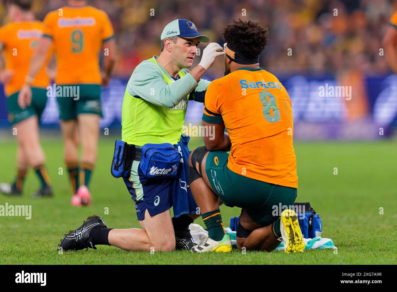 Rob Valetini aus Australien wurde während des Männer Rugby International Test Matches zwischen Australien und Wales im Allianz Stadium o medizinisch versorgt Stockfoto
