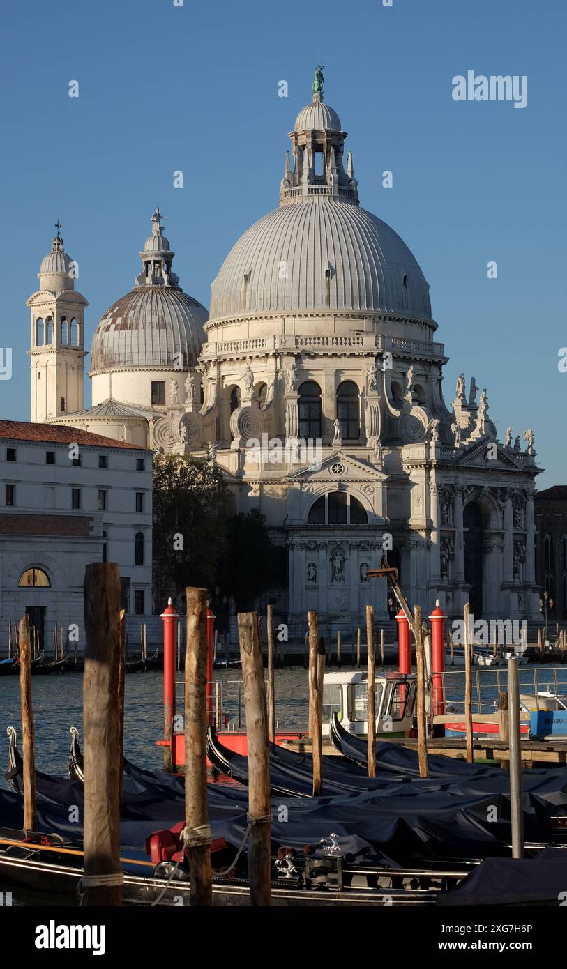 Gondeln, die auf dem Canal Grande vertäut sind, Briccole, die Kuppeln der Basilika Santa Maria della Salute in der Morgensonne, im Sommer in Venedig, Italien Stockfoto