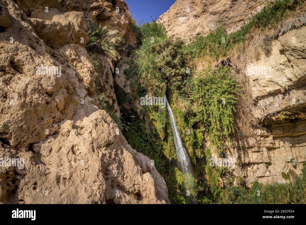 Der kleine Wasserfall, grüne Büsche und trockene Felsen tief in der Oase des Nahen Ostens im Nationalreservat ein Gedi in Israel. Stockfoto