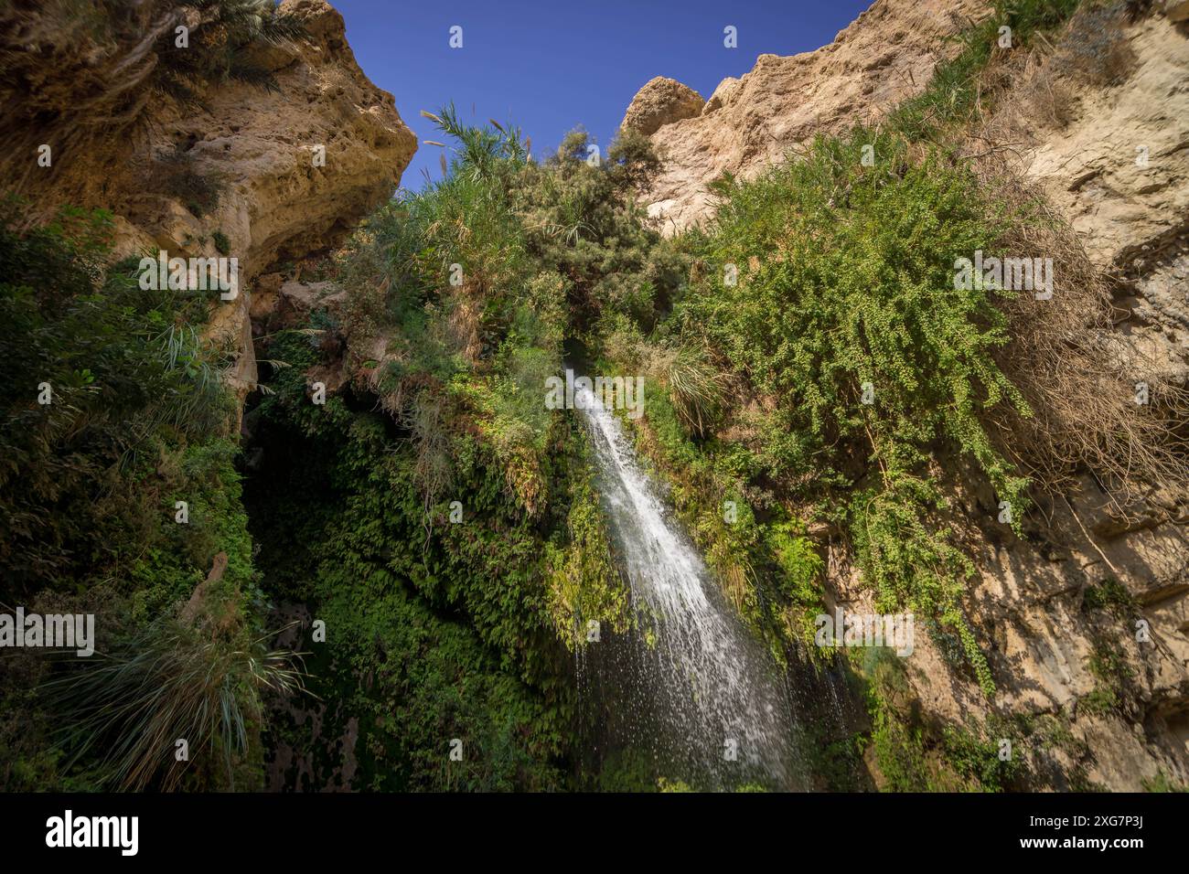 Der kleine Wasserfall, grüne Büsche und trockene Felsen tief in der Oase des Nahen Ostens im Nationalreservat ein Gedi in Israel. Stockfoto