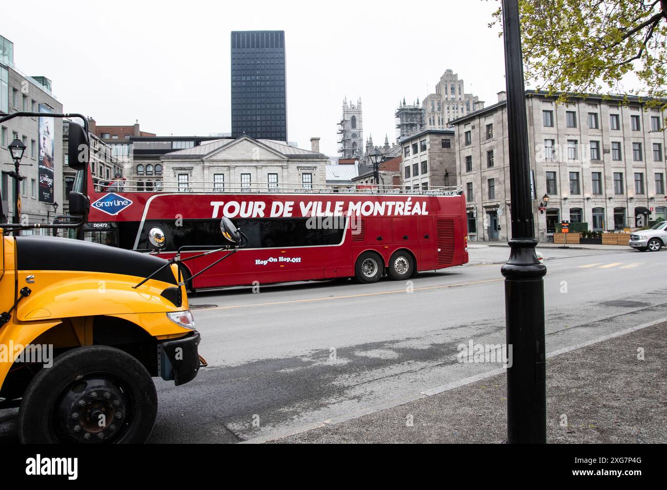 Grauer Stadtbus mit roter Linie auf der Commune Street West am Grand Quay in Montreal, Quebec, Kanada Stockfoto