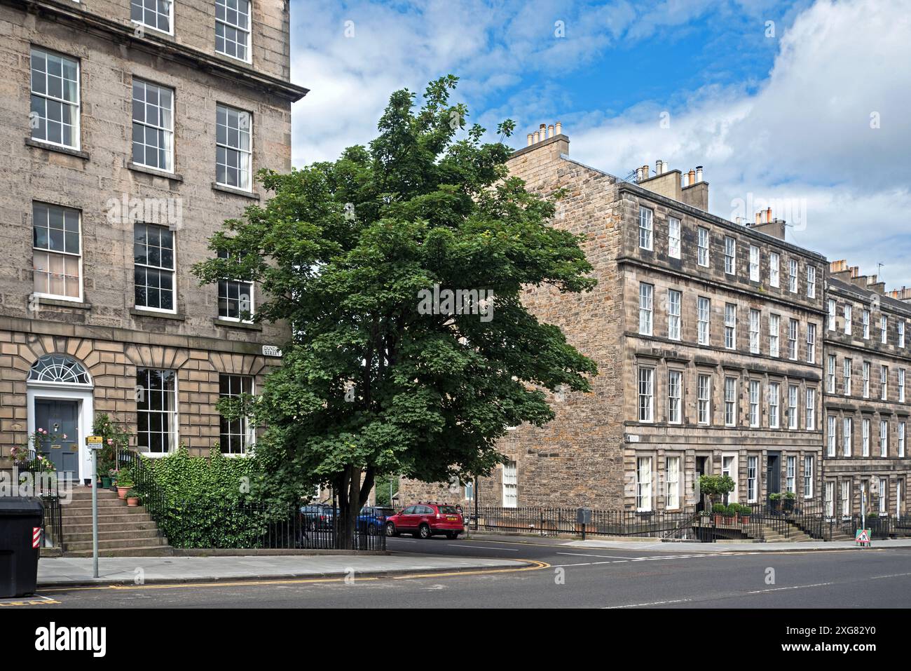 Einsamer Platane wächst in der Dundas Street in Edinburghs New Town. Stockfoto