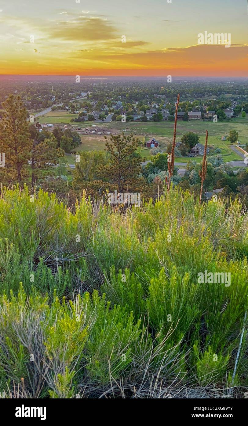 Blick auf Fort Collins, Colorado bei Sonnenaufgang. Stockfoto