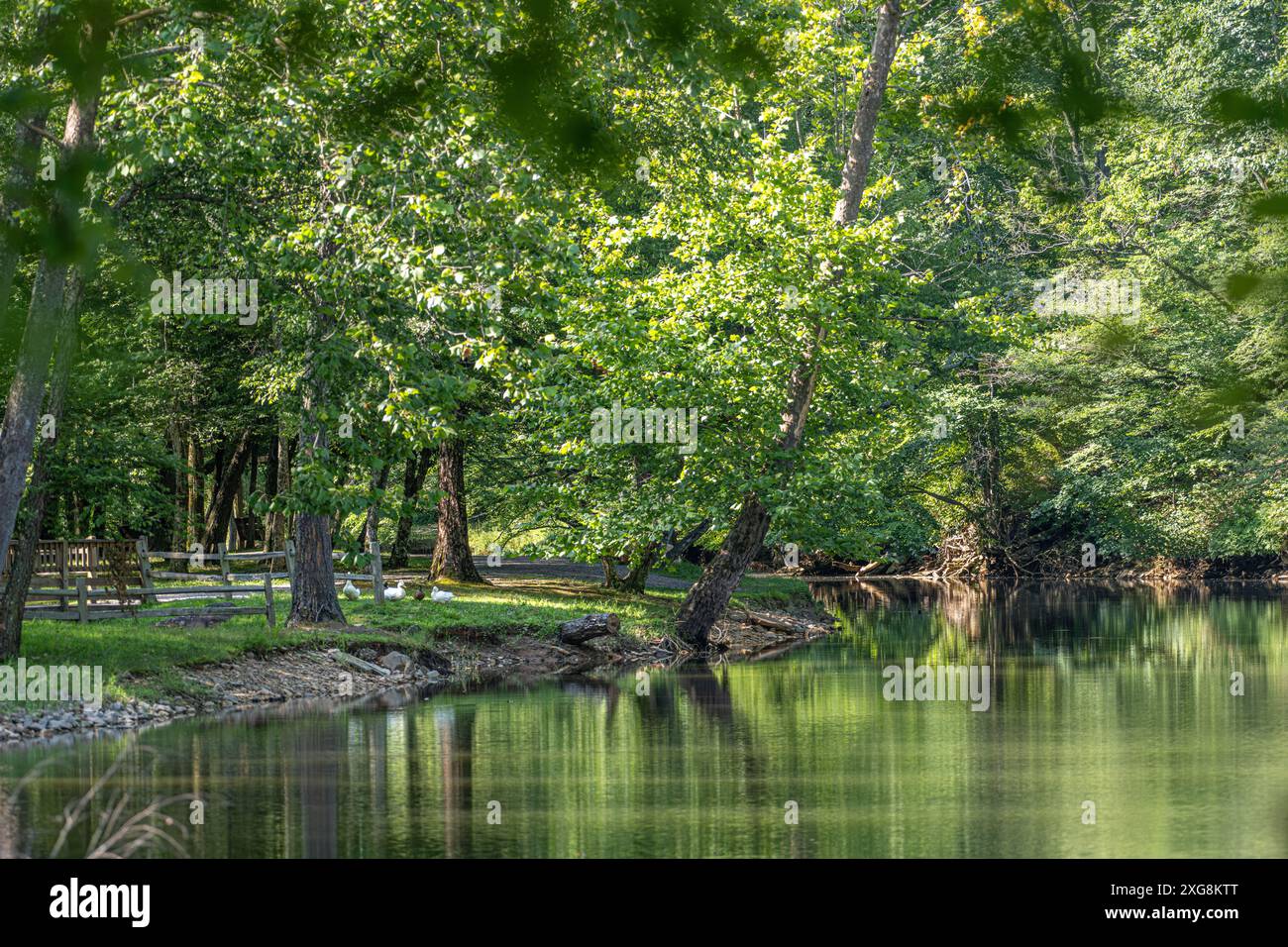 Meeks Park am Nottely River in Blairsville, Georgia. (USA) Stockfoto