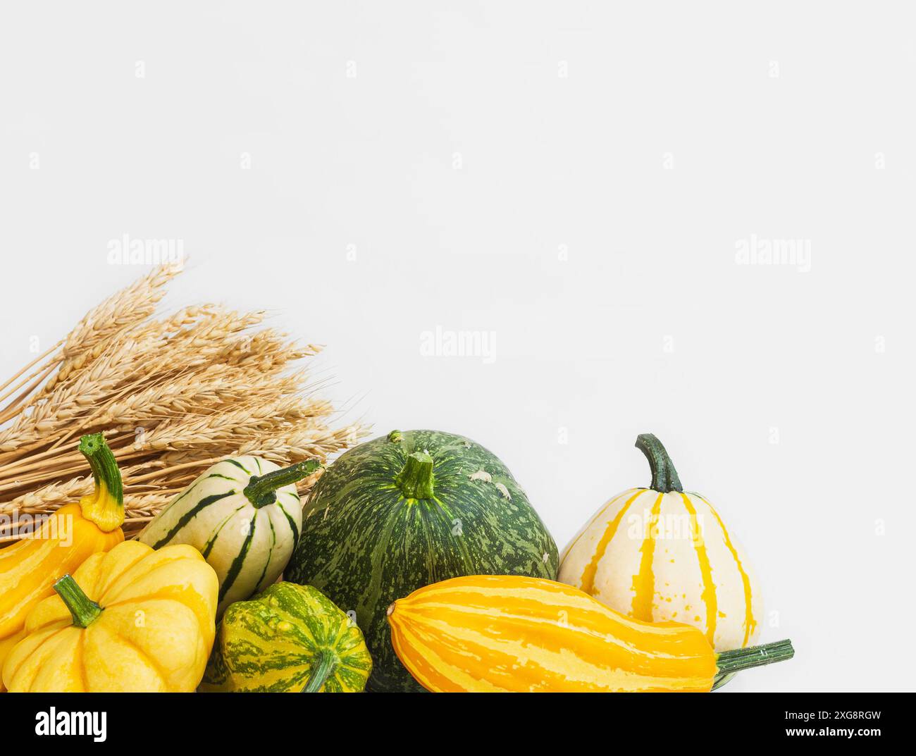 Weizen und herbstliche Kürbisse Stockfoto