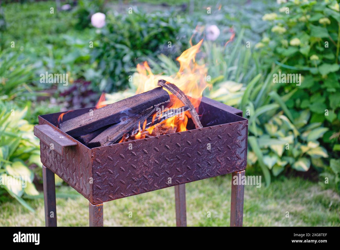 Rustikaler Metallgrill mit Feuerflamme. Brennendes Brennholz in einem Grill im Garten auf grünem Rasen Stockfoto