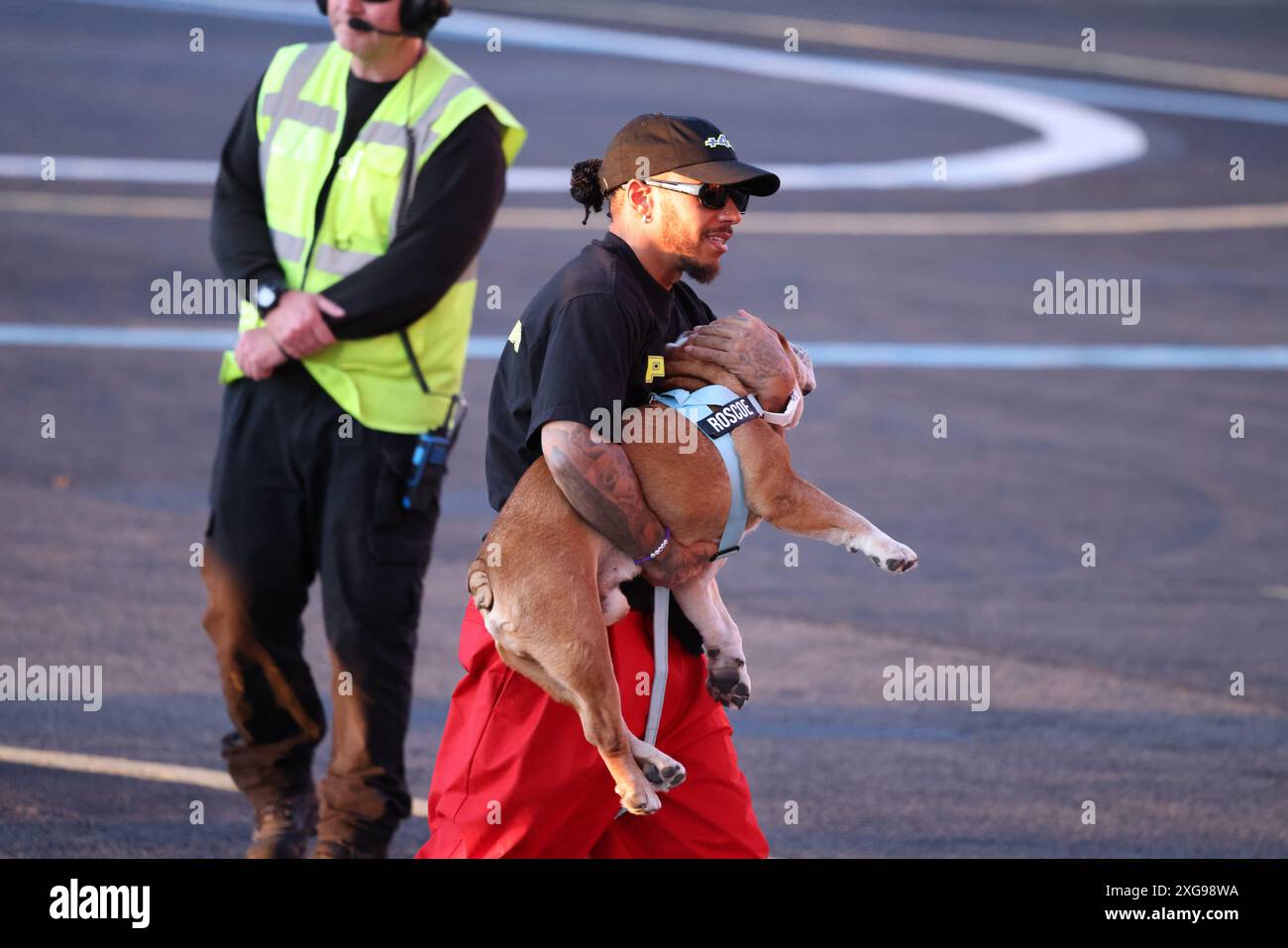 London 7. Juli 2024 nach dem 9. Grand Prix von British Silverstone kehrte Lewis Hamilton mit dem Hubschrauber nach London zurück, begleitet von seinem geliebten englischen Buldog Rosco. Der Formel-1-Stern wurde mit seinem geliebten Haustier gesehen, als er zum Terminal ging und seine enge Verbindung zeigte. Hamilton Joy war offensichtlich. Stockfoto