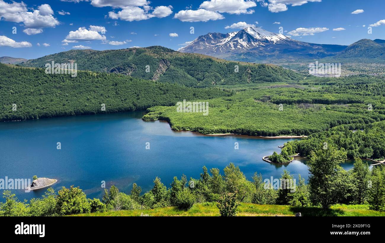 Der Mount St. Helens erhebt sich über dem Coldwater Lake im Süden Washingtons, einem See, der während der Eruption 1980 entstanden ist. Stockfoto