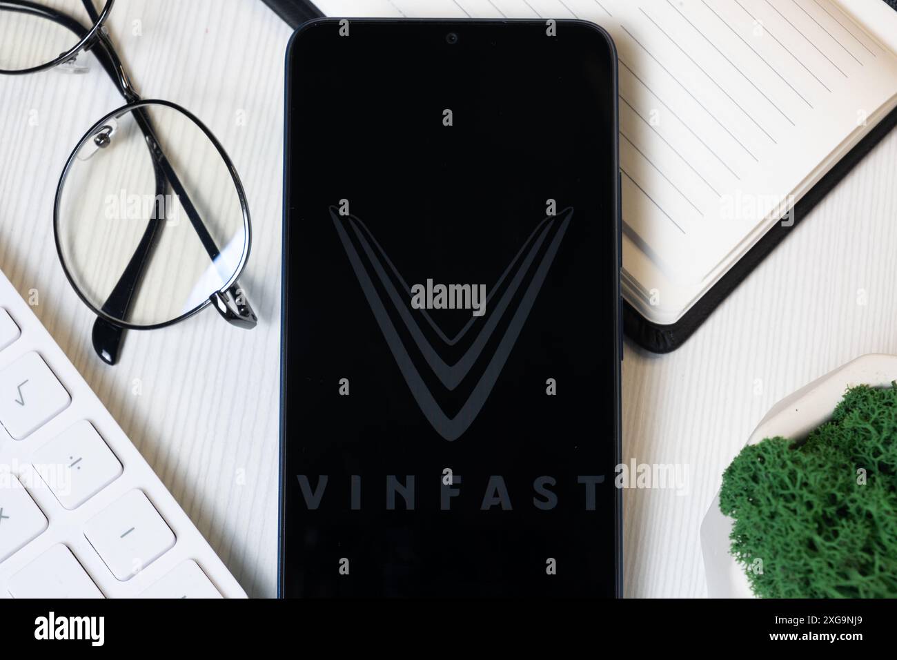 New York, USA – 1. Juni 2024: VinFast Auto Logo auf dem Telefonbildschirm, Firmensymbol. Stockfoto