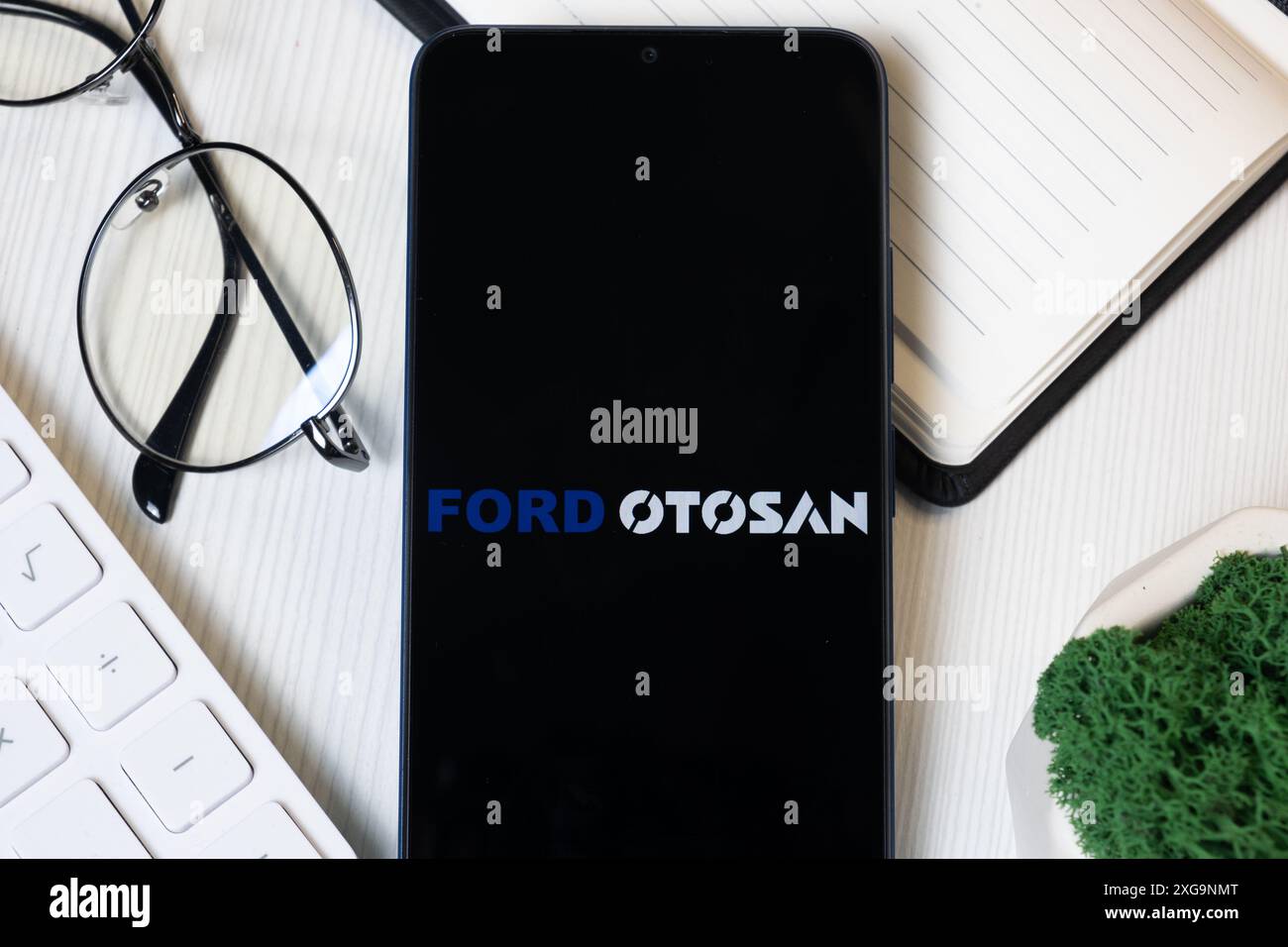 New York, USA – 1. Juni 2024: Ford Otosan Logo auf dem Telefonbildschirm, Firmensymbol. Stockfoto