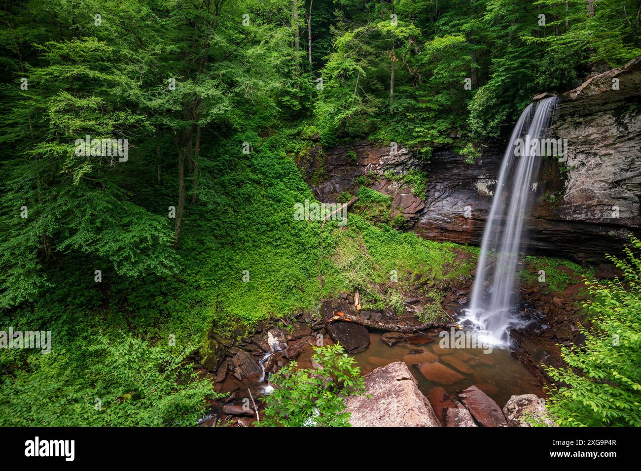 Lower Hills Creek Falls, Monongahela National Forest, West Virginia Stockfoto