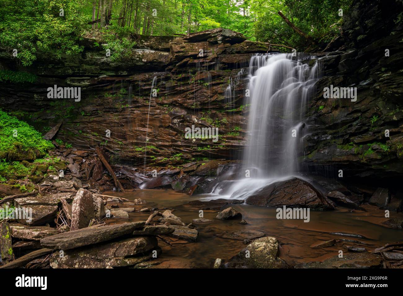 Middle Hills Creek Falls, Monongahela National Forest, West Virginia Stockfoto