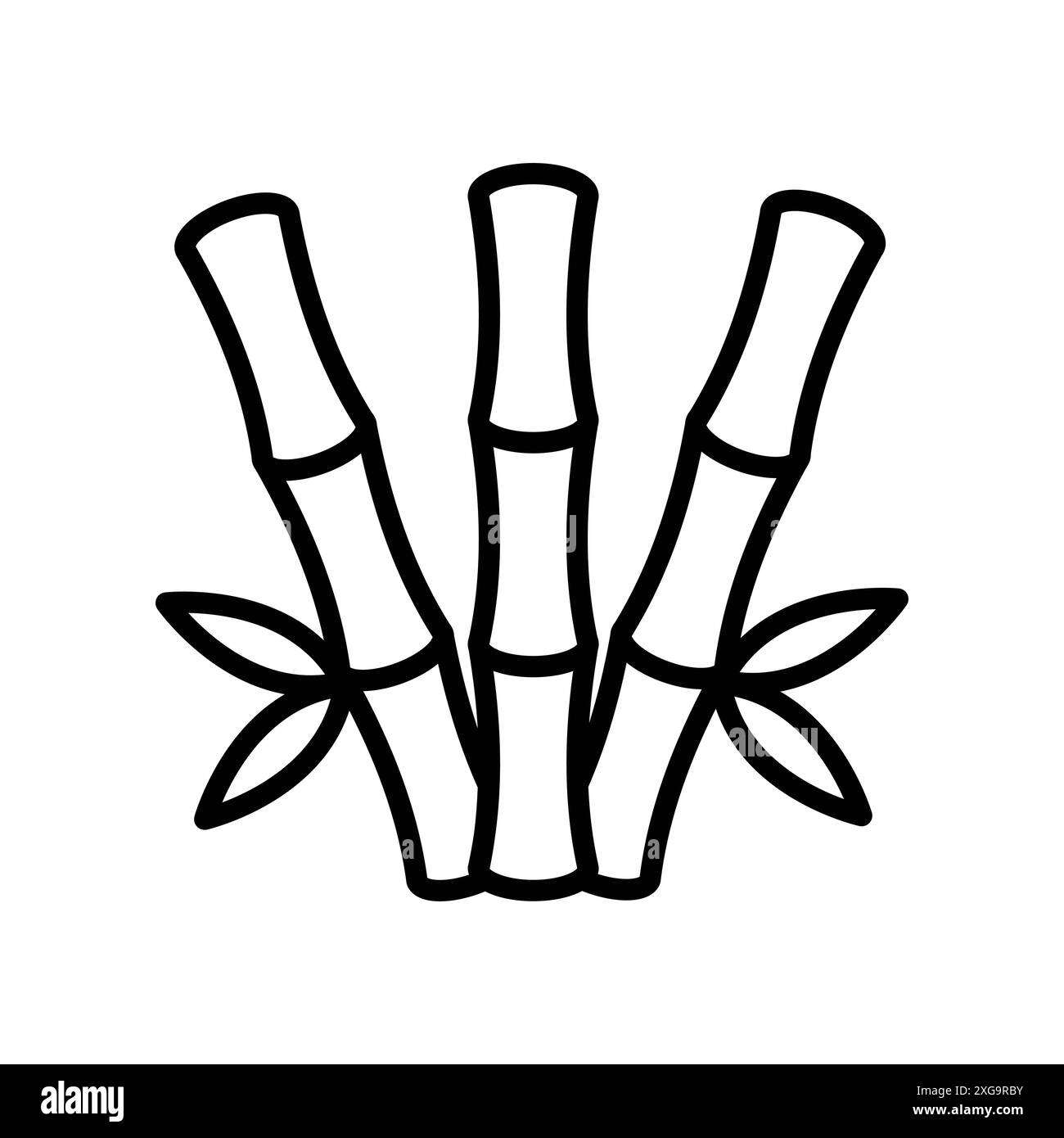 Bambus Symbol Vektor Design Temp[spät in weiß Hintergrund Stock Vektor