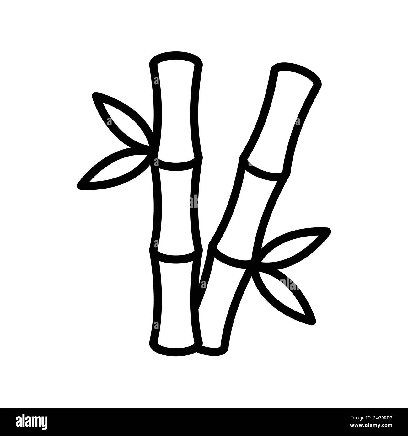 Bambus Symbol Vektor Design Temp[spät in weiß Hintergrund Stock Vektor