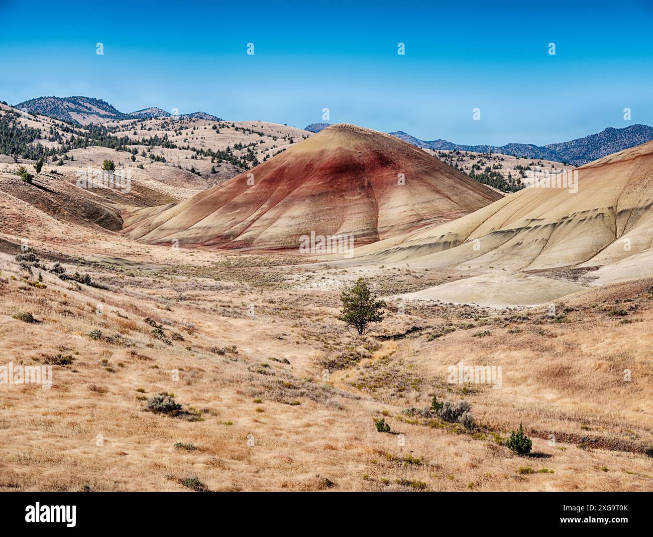 Ein kreisförmiger Hügel am oberen Ende eines Tals hebt die roten Mineralien der Painted Hills im John Day National Monument hervor. Stockfoto