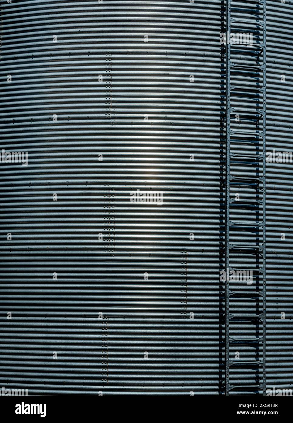 Eine Stahlleiter klettert an der Außenseite eines Wellrohr-Getreidesilos in Dusty, Washington. Stockfoto