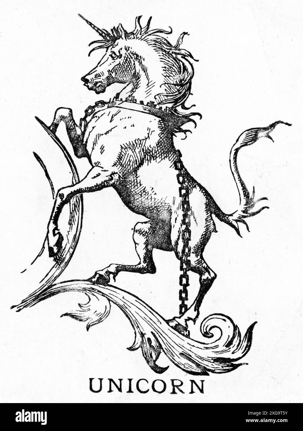 Gravur eines mystischen Einhorns, um 1880 Stockfoto