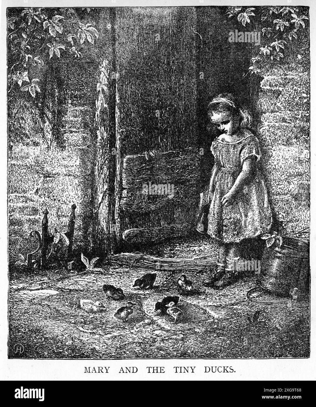 Gravur von Maria, die mit ihren winzigen Enten spielt, um 1880 Stockfoto