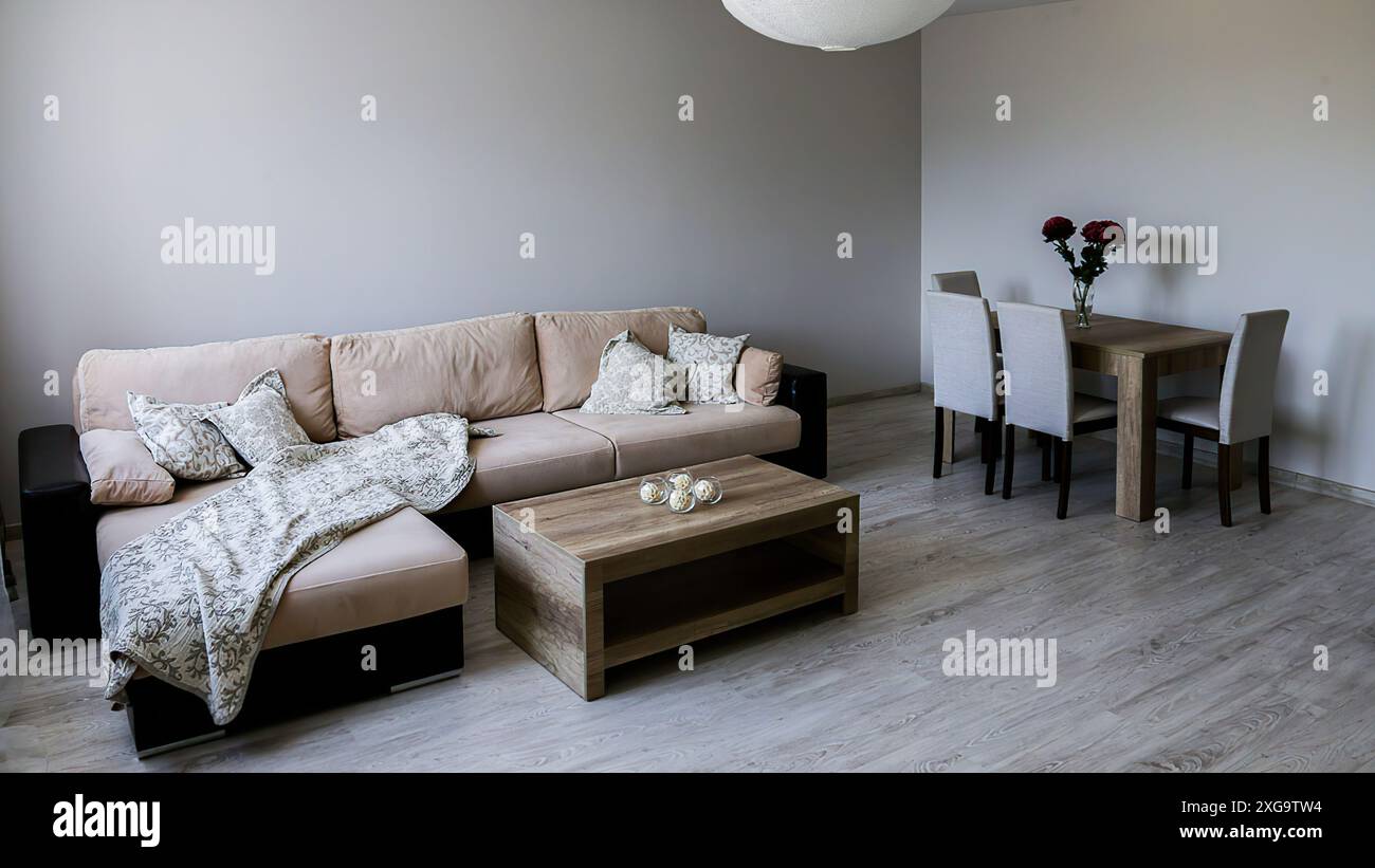 Ein Sofa mit Überwürfen und Kissen, ein Couchtisch, ein Tisch mit drei Stühlen, eine Vase mit roten Blumen, ein hellgrauer Boden und Wände. Stockfoto