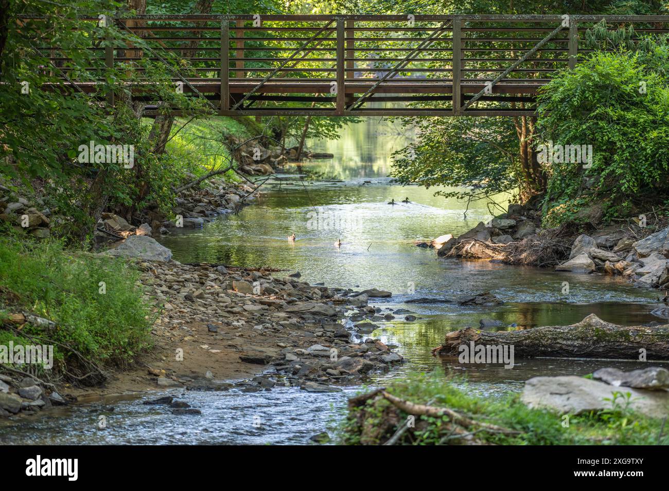 Fußgängerbrücke über den malerischen Butternut Creek im Meeks Park in Blairsville, Georgia. (USA) Stockfoto